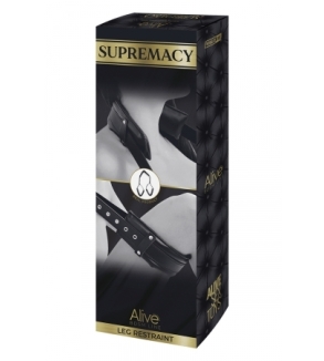 Contrainte de cuisses Supremacy - Alive