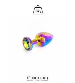 Plug bijou aluminium Rainbow XS - Hidden Eden