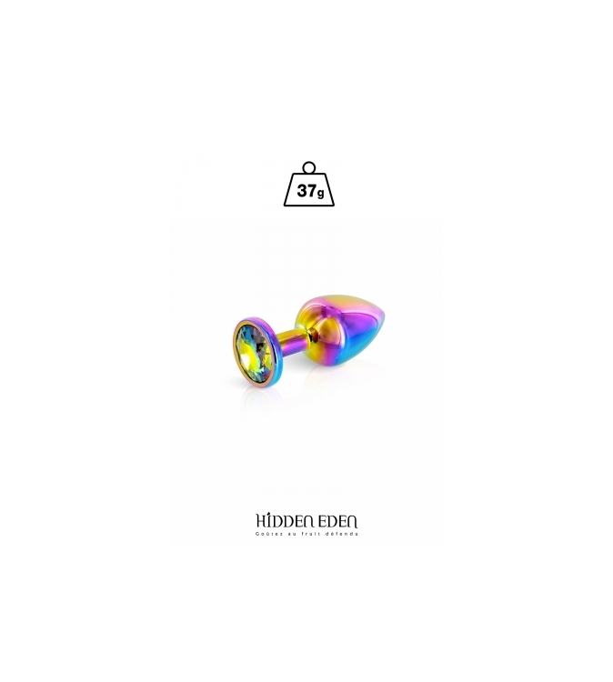 Plug bijou aluminium Rainbow XS - Hidden Eden