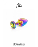 Plug bijou aluminium Rainbow XS - Hidden Eden