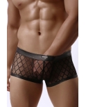 Boxer noir transparent